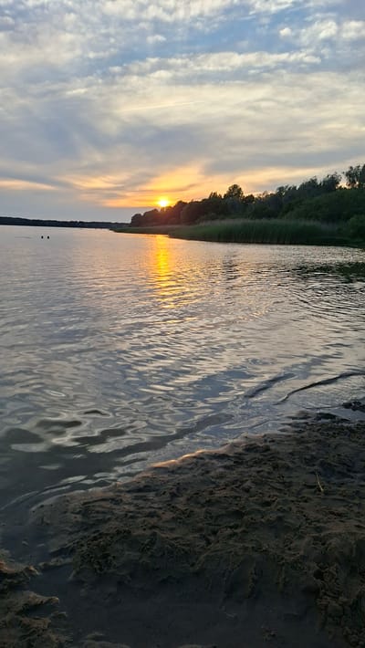 The image shows a natural landscape scene. The foreground is dominated by dark, wet sand with ripples and texture, suggesting it is either a beach or the edge of a body of water. The water itself is a significant portion of the image, with a gentle surface texture and reflections of the sky. In the middle ground, there is a shoreline with dense vegetation, appearing as reeds or tall grasses, bordering a line of trees. The background consists of a sky with scattered clouds, some of which are wispy and white, while others are darker and more textured. The sun is setting or rising, casting a warm, golden light that reflects off the water and illuminates the sky with hues of orange and yellow. There is a faint white contrail from an airplane visible in the upper portion of the sky. Two small, dark, indistinct figures, possibly people or animals, are visible in the water on the far left side of the image. The scene is tranquil and natural, evoking a sense of calm. The location is not specified within the city of Tallinn, Estonia.