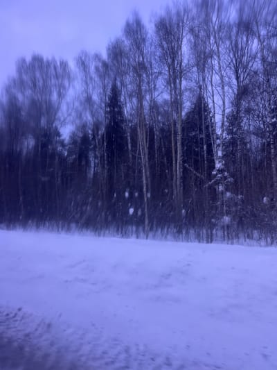 The image displays a snow-covered winter landscape, captured with significant motion blur, likely from a moving vehicle, near Semenovo, Russia. The lower half of the frame presents an expansive, undulating field of fresh snow, appearing largely untrodden. Above this, a dense forest line occupies the midground and background, consisting of numerous tall, slender trees. Both bare deciduous trees, possibly birch, and darker evergreen coniferous trees are visible, many with branches partially obscured by snow. The upper canopy of the forest is heavily blurred against an overcast sky, which appears in various shades of muted blue and purple. The overall color scheme is dominated by cool tones of white, blue, and dark forest green. No individuals, animals, or man-made structures are discernible within the scene.