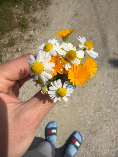 A close-up captures a person's hand holding a small bouquet of white and yellow flowers. The flowers consist of daisies and calendula. A pair of blue, open-toe sandals with a red, white, and blue stripe is visible in the background, along with light gray pants and a gray concrete or gravel surface. The location, Megas Alexandros, Greece, cannot be confirmed or denied from the visual evidence alone. The time of day appears to be daytime, judging by the sunlight and shadows.