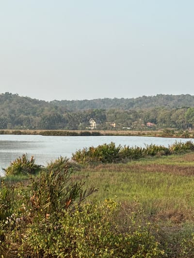 The image depicts a body of water, likely a river or lake, running alongside a densely vegetated area. On the opposite side of the water is a forested hill with a few buildings visible amongst the trees, including what appears to be a white house. The sky is overcast and hazy. The foreground vegetation is a mix of green bushes and taller grasses. The image is taken vertically and appears to be a photograph of a location in Salvador du Mundu, India.