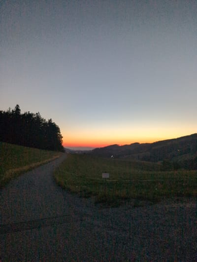 The image shows a landscape scene at dusk, likely in the city of St. Peter, Germany, given the provided context. In the foreground, a dark, gravel path curves from the lower left towards the center of the image. To the left of the path, a dense line of dark green coniferous trees runs horizontally, silhouetted against the sky. Beyond the trees and the path, rolling hills covered in green grass stretch into the distance. The sky displays a gradient of colors typical of sunset or twilight, transitioning from a pale blue at the top to hues of orange and red near the horizon. In the far distance, faint lights suggest the presence of a settlement or buildings within the undulating terrain. The overall atmosphere is calm and serene.