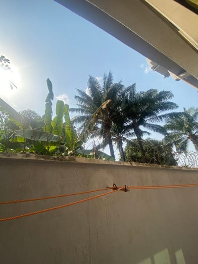 The image depicts an outdoor scene in Oko Town, Nigeria, observed from a low angle, possibly from beneath an overhang. In the foreground, a light-colored concrete wall, exhibiting horizontal stress cracks, occupies the lower half of the frame. Two orange ropes, fastened to metal rings embedded in the wall, stretch horizontally across the wall's mid-section. Above the wall, a dense arrangement of tropical vegetation is visible, including prominent green banana plants on the left and multiple tall palm trees to the right. Barbed or razor wire is present along the top edge of the concrete wall, indicating a security feature. The background consists of a clear, bright blue sky with minimal white cloud cover. The sun, located in the upper-left quadrant, generates a strong lens flare and backlights the vegetation. A concrete structural element, possibly a beam or overhang, partially obscures the sky along the top and upper-right edges of the frame. No individuals are present in the scene.
