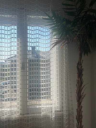 The image depicts an indoor scene with a window covered by a white lace curtain. Through the curtain, a residential building with a tiled roof is visible, along with trees and a blue sky. A palm plant is positioned to the right of the window, partially obscuring the view and casting a shadow. The scene appears to be in Martinovo, Bulgaria.