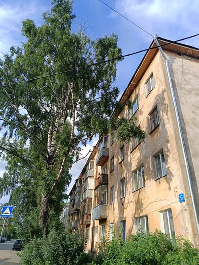 The image depicts an exterior view of a multi-story residential building in Shingarskie Isady, Russia. A large birch tree with white and black bark and lush green foliage dominates the left side of the frame, casting shadows on the building. The building itself is weathered and painted a pale yellow, with several windows and balconies visible. A silver downspout runs vertically along the corner of the building, and a blue street sign with a white number "6" is attached to the wall. In the foreground, dense green bushes and shrubs line the base of the building. A street with a sidewalk and a blue and white triangular road sign indicating a speed bump are visible on the left side, with a dark-colored car parked on the street. The sky is blue with scattered white clouds.