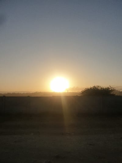 The image shows a bright sun low on the horizon, likely a sunset or sunrise. The sky blends from a clear blue to a pale yellow near the sun. The ground is a dark, textured surface, possibly pavement or dirt. A line of vegetation or trees is visible in the distance, silhouetted against the sunlight. Beams of light radiate from the sun, adding to the brightness. The overall composition is simple and focuses on the natural beauty of the sun's interaction with the landscape.