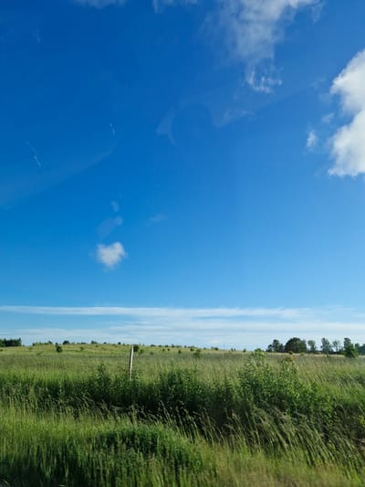 The image shows a vast, green grassy field under a bright blue sky. A single wooden fence post stands in the middle ground of the field. The horizon is dotted with trees. The sky is mostly clear with a few wispy clouds, one of which is shaped like a heart. The scene appears to be located in Rimkai, Lithuania, given the context of the prompt.