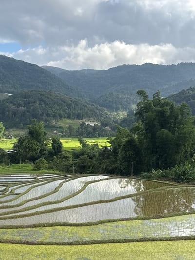 The image depicts a rural landscape in Ban Ang Ka Noi, Thailand, featuring a series of tiered rice paddies. The foreground shows several levels of terraced rice fields, some filled with water reflecting the sky, and others with green vegetation. Beyond the rice paddies, the landscape transitions into lush green hills and mountains covered in dense forest. Scattered throughout the mid-ground are small buildings and what appear to be more rice terraces. A cluster of tall bamboo trees is visible on the right side of the image, adding to the verdant scenery. The sky is partly cloudy, with patches of blue visible through the grey and white clouds. The overall impression is one of natural beauty and agricultural activity in a mountainous region. There are no people or animals visible in the image.