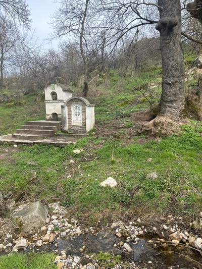 The image captures a hillside scene in Ostar Kamak, Bulgaria, featuring two small, white-painted religious structures positioned on an ascending, verdant slope. To the left, a multi-tiered shrine stands accessible by three concrete steps, displaying a cross on its lower portion and a green emblem above a recessed opening on its upper level. Adjacent to it on the right is a shorter structure with a semicircular arch, accented with stone, enclosing a decorative relief and Cyrillic text. The ground is covered with green grass, scattered rocks, and loose soil. A large, mature tree with exposed, gnarled roots and a distinct burl on its trunk anchors the right side of the frame. The background is dense with bare deciduous trees and rocky outcrops, suggesting a late winter or early spring season under an overcast, light gray sky. In the immediate foreground, a shallow stream with a pebbled bed flows from right to left, containing clear water and various small stones, alongside a larger, angular concrete block on its left bank. No individuals or animals are present in the scene.