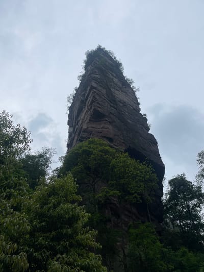 The image shows a view looking up at a tall, narrow rock formation, likely a cliff or pillar, in Luoguta, China. The rock face is dark gray/brown with visible striations and some vegetation growing on its ledges. Green trees and bushes surround the base of the rock formation, partially obscuring the view. The sky is overcast and gray. There are no people visible in the image. The shot appears to be taken from a low angle, emphasizing the height of the rock formation.