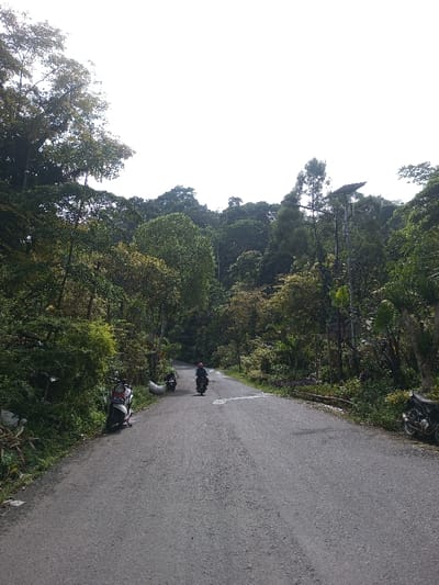 A gray asphalt road winds through a lush, green forest. The road curves gently uphill with dense trees lining both sides. A person rides a motorcycle up the road, while two parked motorcycles are visible at the roadside. One is on the left, and the other is on the right. A solar panel tower stands among the trees on the right. The sky is overcast and white.
