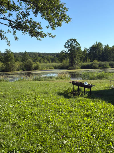 The image depicts a natural outdoor scene with a body of water, possibly a lake or pond, with vegetation growing in and around it. The water is partially covered with algae or aquatic plants, giving it a green hue. Dense green foliage, including trees and grass, surrounds the water. In the foreground, to the right, there is a large expanse of lush, green grass. To the left, there are trees with detailed leaves against a clear blue sky.
In the middle ground, on the grassy bank beside the water, a dark-colored bench is visible. On the bench, there appears to be a person, though their features are not distinct. Also on the bench, a transparent object, possibly a water bottle or jug, and some other items are present. The overall setting suggests a peaceful, natural environment, likely a park or rural area. The lighting indicates it is daytime, with the sun casting shadows, suggesting it could be mid-morning or afternoon. The clear blue sky points to fair weather. The location context provided is "Кліноцкі сельскі Савет, Belarus." No visible text is present in the image.