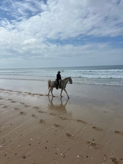 A solitary figure rides a light-colored horse along the wet sandy shoreline of a beach within the municipality of Alcácer do Sal, Portugal. The individual is dressed in dark clothing, including a long-sleeved top or jacket, dark trousers, and a wide-brimmed dark hat, and is seated in a saddle atop the horse. The horse, appearing white or light grey, is equipped with a bridle and stirrups, and is captured mid-stride with its front right and rear left legs advanced. Its reflection is visible in the wet, dark-colored sand. The sandy beach exhibits numerous footprints, both human and equine, and is scattered with small shells and pebbles. To the right, the ocean displays gentle waves breaking into white foam at the water's edge, extending to the horizon. The sky above is partially overcast with white and grey clouds, revealing patches of blue sky. The scene is illuminated by natural daylight.