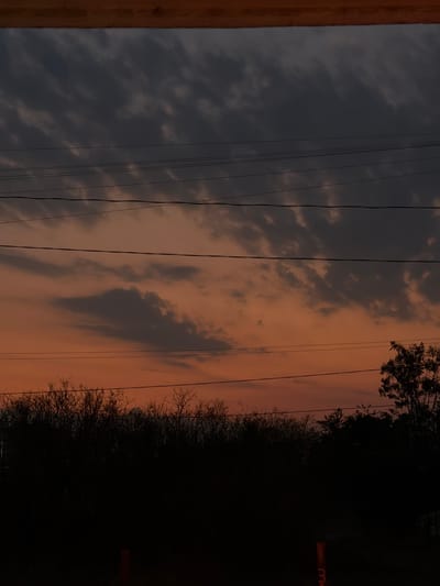 The image presents a landscape, possibly in Cuautla, Mexico, given the context. An area of sky is visible, transitioning from dark gray clouds to a warm orange-pink hue near the horizon. Electrical wires span across the sky. To the right, a silhouette of trees and foliage creates a dark, undefined border. An indistinguishable wooden feature is present on the left edge of the photograph. The scene appears to be taken during dusk or twilight. The overall lighting is low, emphasizing the contrasts between the sky and the darker elements.