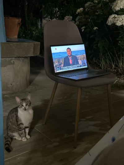 A tabby and white cat sits on a tiled floor in front of a chair on which a laptop is open. The laptop screen displays a news broadcast with a man in a suit on a beach. The scene appears to be outdoors at night, with lush greenery visible in the background. A terracotta pot and a concrete structure are also present. The location is not identifiable as Salmanovo, Bulgaria.