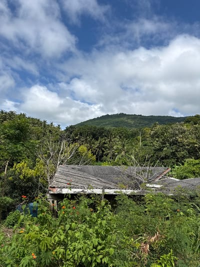 The image captures a scene in Pejukutan, Indonesia. It features a dilapidated structure with a corrugated roof, partially obscured by overgrown vegetation including plants with small orange flowers. In the background, a lush green hillside rises towards the sky. The sky above is partly cloudy with a blue backdrop.