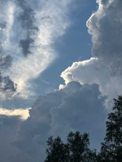 The image shows a dramatic sky filled with large, dark, and light-colored clouds. The clouds are highly textured, with some appearing wispy and illuminated from behind by the sun, while others are dense and foreboding. In the lower portion of the image, the silhouettes of the tops of several deciduous trees are visible against the sky. The overall impression is one of an approaching storm or the aftermath of one, with a strong contrast between light and shadow in the clouds. The scene is likely a natural landscape given the focus on the sky and trees. The city of Архангельское, Russia is mentioned as the location, suggesting this is a view of the sky above that area.
