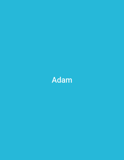 The media file is a static image with a solid, bright blue background. Centered horizontally and positioned in the upper middle section of the frame is the word "Adam" written in white, sans-serif text. There are no other visible subjects, objects, activities, or contextual details. The image appears to be a simple graphic or title card with text overlay. The provided location context of Verkhniachka, Ukraine, does not offer any visual cues within the image itself.