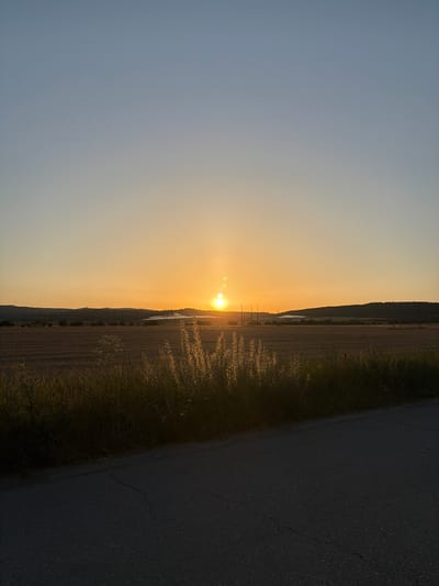 This media file shows a scenic landscape at sunset in Verinsko, Bulgaria. The image is oriented vertically, with the horizon running across the middle. The sky transitions from a pale blue at the top to a vibrant orange and yellow near the horizon, indicating it's dusk. The sun is low in the sky, casting a warm glow over the scene.
To the left of the frame, a vast field stretches out, appearing to be harvested or fallow, with rows suggesting agricultural activity. Thin, tall grasses are scattered throughout the field, catching the golden light. In the distance, a chain of hills or mountains forms a dark silhouette against the bright sky. A thin strip of water, perhaps a river or a lake, is visible in the valley between the field and the hills. Several utility poles are scattered across the landscape, hinting at human presence and infrastructure.
To the right of the frame, a dark asphalt road occupies a significant portion of the image. The road appears to be cracked in places, suggesting it's not new. The edge of the road is bordered by the same tall, dry grasses seen in the field, illuminated by the setting sun.
The overall mood is peaceful and serene, capturing the beauty of a rural Bulgarian sunset. The light suggests the end of a day, with a gentle, warm atmosphere. There is no visible text in the image.