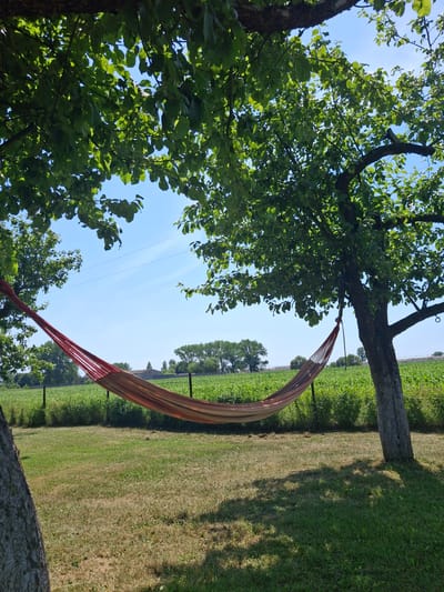 An outdoor scene depicts a hammock suspended between two trees, set against a backdrop of a green field and a clear blue sky. The hammock is made of fabric with horizontal stripes in shades of red, orange, and beige. It is hung from ropes attached to branches of the trees, one of which is on the right side of the frame and has a rough, dark bark. The other tree is on the left, partially obscured by its foliage. The ground in the foreground is covered in green grass, with some patches of drier, lighter colored grass. In the middle ground, a fence runs horizontally, separating the grassy area from a field of tall green crops. In the distance, a line of trees forms the horizon, and a building or structure can be faintly seen. The overall impression is one of a peaceful, rural setting. The image is taken during the day, as indicated by the bright sunlight and the clear sky. The location is identified as Дубровенскі сельскі Савет, Belarus.