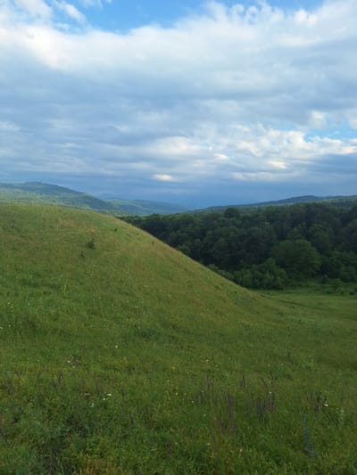 This media file depicts a pastoral landscape under a cloudy sky. The scene is dominated by rolling green hills, with a dense, dark green forest forming a backdrop. The foreground features a lush, grassy field dotted with small wildflowers, predominantly in purple and white hues. The field slopes downwards from right to left, creating a sense of depth. In the distance, layers of mountains or hills are visible, fading into a soft blue haze under the sky. The sky itself is a dynamic mix of bright blue patches and voluminous white and grey clouds, suggesting a day with variable weather, possibly late morning or early afternoon. The overall impression is one of natural beauty and tranquility, a serene, undeveloped rural setting. There are no people or man-made objects visible in the frame. The location is contextualized as Alkhasty, Russia.