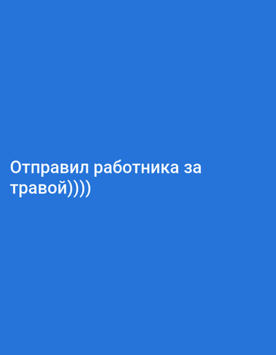 The image contains a blue background with white text. The text reads "Отправил работника за травой))))". This translates from Russian to English as "Sent the employee for grass". The image does not provide any information about the location in Nowa Wieś Książęca, Poland.