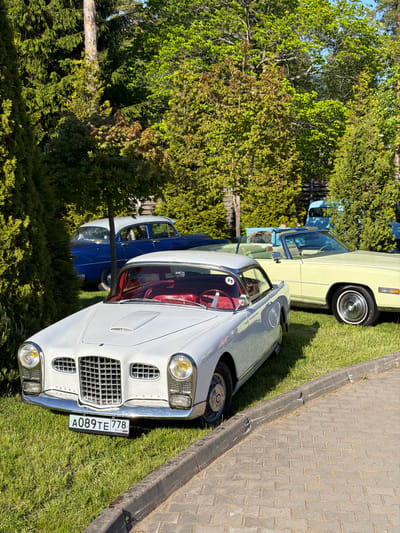 The image shows a collection of vintage cars parked on a grassy area, likely in Repino, Russia, as indicated by the Russian license plate "A089TE778" on the white Facel Vega car in the foreground. The vehicles are arranged on a patch of grass next to a paved walkway constructed of rectangular stones, suggesting a public space. Trees and shrubs form a backdrop, contributing to a natural setting. No people are immediately visible in the frame, focusing the attention on the automobiles.