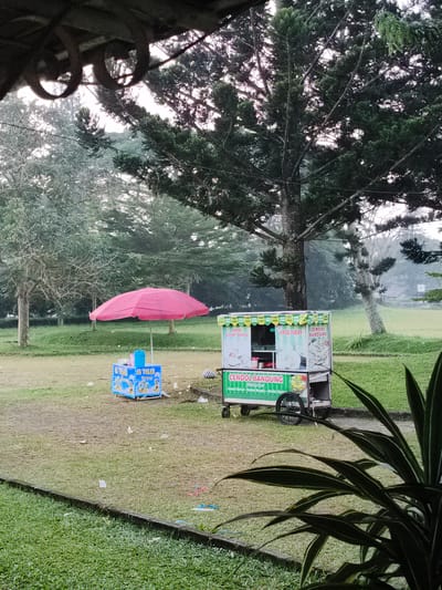 The image depicts an outdoor scene in Kawungluwuk, Indonesia, featuring a park-like environment with two food vendor carts positioned on a grassy field. In the foreground, a dark green plant with variegated leaves partially obscures the bottom right. A concrete curb separates a lower, manicured grass area from a slightly higher, less uniform patch of ground where the food carts are situated. Scattered white litter, including plastic fragments and possibly melted ice, is visible on this ground.
To the left, a vibrant pink market umbrella stands open, shading a smaller, rectangular blue cart. This blue cart displays "ES TELER" (Indonesian for "iced fruit cocktail") in white text against a blue background, accompanied by cartoon character illustrations. A blue plastic bucket and white containers rest on top of the cart.
To the right of the pink umbrella, a larger, green and white mobile vendor cart is visible. It features "CENDOL BANDUNG" (Indonesian for a traditional iced dessert from Bandung) prominently displayed in green and white text. Additional text indicates "CENDOL ALPUKET NANGKA" (avocado jackfruit cendol) and "CENDOL DURIAN" (durian cendol). The cart has multiple sections and is equipped with wheels, suggesting mobility.
The background consists of a large grassy field bordered by numerous trees. Various types of trees are present, including dense conifers with dark green foliage and other trees with lighter, more sparse canopies. The far background appears hazy or misty, with the trees and sky merging into a diffused bright light, indicating either early morning or late afternoon. No individuals are visible in the scene. A dark, curved architectural element, possibly a roof overhang with decorative hooks, is visible in the top left corner, suggesting the photograph was taken from under a covered structure.