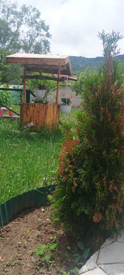 This image captures a vibrant outdoor garden scene, likely in a rural or semi-rural setting, consistent with its location context of Boboshevo, Bulgaria. The central subject is a decorative wooden well structure, crafted from light-colored planks, featuring a small gabled roof. Two white hanging planters adorn the well; one holds vibrant reddish-orange flowers, while the other contains lighter-colored blossoms.
A prominent evergreen bush, likely a Thuja, with a mix of healthy green and some reddish-brown foliage, occupies the right side of the frame, extending from top to bottom. In front of and around the well is a patch of lush green grass. The ground towards the lower right transitions into exposed soil with sparse young plants and small pebbles, bordering a section of light-colored stone paving. A small decorative rabbit figurine is visible near the base of the well, partially hidden by the grass.
In the background, rolling hills or mountains are visible beneath a partly cloudy sky, indicating daytime. The scene is static, showing no specific activity or people, focusing instead on the garden's landscaping and features. No text is visible in the image.