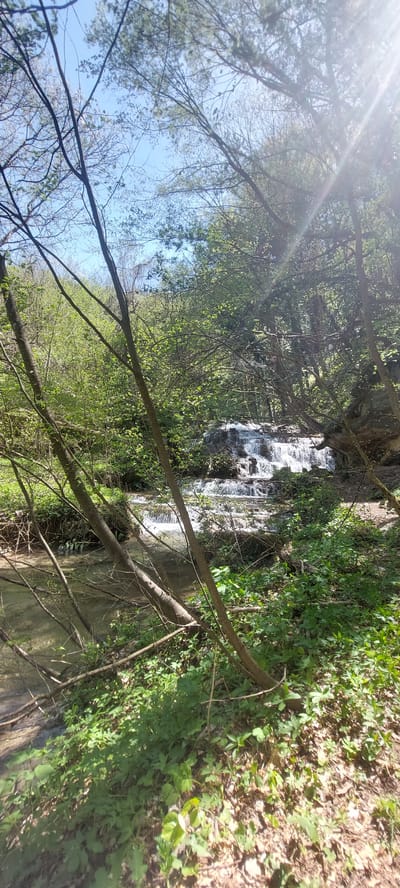 The image depicts a waterfall within a forest setting, likely near Бачковски манастир, Bulgaria. The waterfall cascades over rocks, with water flowing down. The foreground features bare tree branches, and the surrounding area is lush with greenery. The top left of the image shows the sky through the trees.