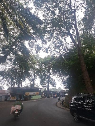 A street scene is captured with dense trees overhead obscuring much of the sky. On the right, a black car sits parked along the road. A line of motorcycles and pedestrians are visible near small buildings that appear to be shops. A motorcycle with a package on the back moves down the street. The road itself is dark and possibly wet.