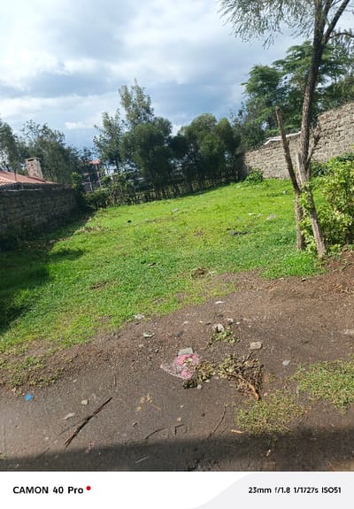 The image depicts an undeveloped land parcel in Nakuru East ward, Kenya, under an overcast sky. The foreground features a dark brown dirt path interspersed with small patches of green grass. Scattered debris on this path includes small branches, dry leaves, a crumpled piece of reddish fabric or plastic, and a small blue item. Shadows are cast across the lower right portion of the path.
Immediately beyond the dirt path lies a large expanse of unkempt green grass, showing varying degrees of growth and some bare soil patches.
On the left side of the scene, a low, weathered masonry wall constructed from dark grey stone blocks runs horizontally. Above and behind this wall, a structure with a reddish-brown tiled roof and a prominent white chimney is partially visible, suggesting a residential building. Further in the background on the left, a cluster of green trees and the upper floors of a multi-story building can be discerned.
On the right side, a taller masonry wall, similar in construction to the left one, forms another boundary. Directly in front of this wall, on the edge of the grassy area, stands a prominent, vertical, multi-stemmed dead tree trunk, appearing to be stripped of bark in sections. Behind the right wall, a dense line of numerous green deciduous trees forms a backdrop, some appearing to be part of a larger wooded area. The sky above is largely covered with white and grey clouds, indicating a cloudy or partly cloudy day. No individuals, animals, or discernible actions are present in the frame.