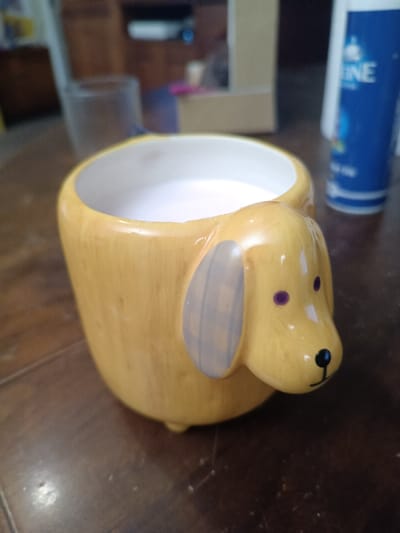 A yellow, ceramic dog-shaped planter sits on a wooden surface. The planter has a rounded body, dog face, and floppy ears, with purple eyes and a black nose. Inside the planter is a white substance. In the background, there's a glass, a blue bottle, and a dark brown cabinet. The image is well-lit, showcasing the colors and textures of the objects.