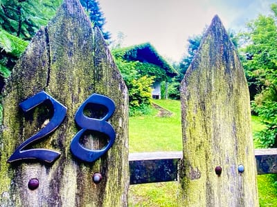 The image shows a close-up view of a weathered wooden fence with the numbers "28" attached to the left post. The fence is covered in moss, giving it a green, textured appearance. The numbers are dark blue and appear to be made of metal. The fence posts are pointed at the top, resembling a picket fence. In the background, through an opening in the fence, a house covered in greenery is visible, with a grassy lawn and trees surrounding it. The sky is overcast with some patches of blue. The location is specified as Purkersdorf, Austria. There are no people or animals visible in the image, and no actions are taking place. The scene appears to be outdoors, in a natural setting.