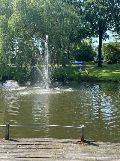 The image depicts a canal or pond with a fountain in the foreground, situated in the city of Steenwijk, Netherlands. A wooden deck with railings runs along the edge of the water. On the grassy bank opposite the deck, two young individuals are present; one is standing and the other is seated. A bicycle is placed on the grass near the standing individual. In the background, trees, houses, and a blue car are visible. The scene is set on a sunny day with clear blue skies.