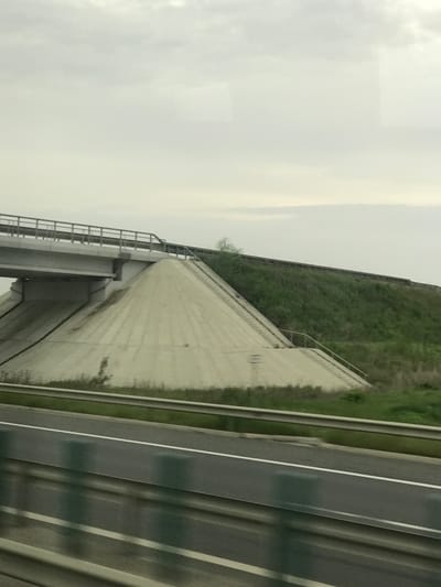 The image depicts a highway overpass bridge in Ruși-Ciutea, Romania, captured during an overcast daytime. A multi-lane asphalt highway, marked with white lines and bordered by a metallic guardrail, is visible in the foreground. Above it, a concrete bridge with a metallic guardrail system spans the highway. The bridge is supported by prominent, sloped concrete abutments, which are faced with vertical panels and show signs of water staining. On the right abutment, a concrete staircase with a handrail ascends the slope. The ground surrounding the highway and beneath the bridge is covered with green grass and some sparse vegetation. To the right of the bridge, a grassy embankment with a continuous guardrail extends into the mid-ground. The sky is uniformly light grey with heavy cloud cover. Motion blur on the lower highway section and foreground guardrail indicates the photograph was taken from a moving vehicle. No individuals or animals are present.