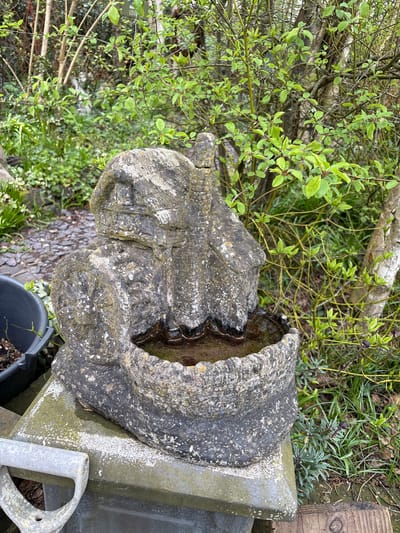 The image depicts a weathered stone bird bath situated outdoors, likely in a garden. The bird bath is predominantly grey and covered in lichens or moss, indicating age and exposure to the elements. The basin of the bird bath contains stagnant water with sediment. The bird bath sits on a grey stone pedestal. Surrounding the bird bath is lush greenery, including leafy bushes and various types of plants. A black plastic pot with small plant sprouts is visible at the base of the pedestal. A watering can is placed next to the pedestal. The location is Minsterley, United Kingdom. The image does not depict people or any interactions.