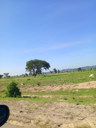 The image depicts a rural landscape under a clear blue sky, likely in the vicinity of Jama'a, Nigeria. The foreground shows a dirt road with scattered stones and debris, partially visible on the left is a car's side mirror. Beyond the road, a gently sloping green field stretches towards the horizon, dotted with several trees. A prominent, large tree stands in the middle ground, its canopy full and green. In the distance, rolling hills are visible, suggesting a mountainous or hilly terrain. Power lines are strung across the sky. The environment is natural and undeveloped, consistent with a rural setting. There are no people or animals visible in the frame.