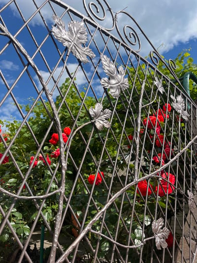 A wrought iron gate, decorated with metal leaves, stands in front of a garden of red roses and green foliage. The gate is set against a backdrop of blue sky with scattered white clouds. The scene appears to be outdoors, possibly in a residential area, given the presence of a garden and the style of the gate. The lighting suggests it is daytime. The location is identified as Kryzhanivka, Ukraine. There are no people visible in the image.