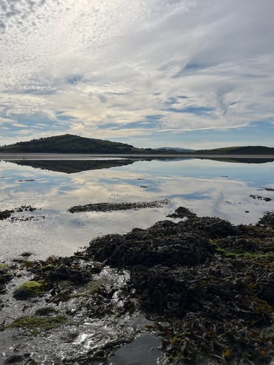 This media file is a vertical, mirrored photograph of a coastal landscape in Dunuisce, Ireland. The image is split horizontally, with the top half depicting a cloudy sky and the bottom half showing a reflection of the sky on what appears to be a wet surface, possibly mudflats or shallow water.
On the left side of the image, the sky is filled with a mix of wispy white clouds and patches of blue. The reflection below mirrors these clouds, creating an ethereal effect. In the center, a long, thin strip of land with a road running through it is visible, also reflected in the wet surface. This landmass appears to be a narrow causeway or a spit of land, with green vegetation on its sides.
On the right side of the image, a dark, textured area is prominent, which appears to be rocks covered in seaweed or kelp. This area is also wet and glistening, reflecting some of the sky and creating a contrast with the more serene left side. The seaweed is dark green and brown, with some lighter green patches, suggesting it is submerged or recently exposed to the tide.
The time of day appears to be daytime, likely late morning or early afternoon, given the brightness of the sky and the presence of clouds. The weather seems partly cloudy, with sunlight filtering through. The location is clearly coastal, with the sea and its associated flora evident. There are no people or specific objects visible, and the scene evokes a sense of natural beauty and tranquility, amplified by the mirroring effect. No text is visible in the image.
