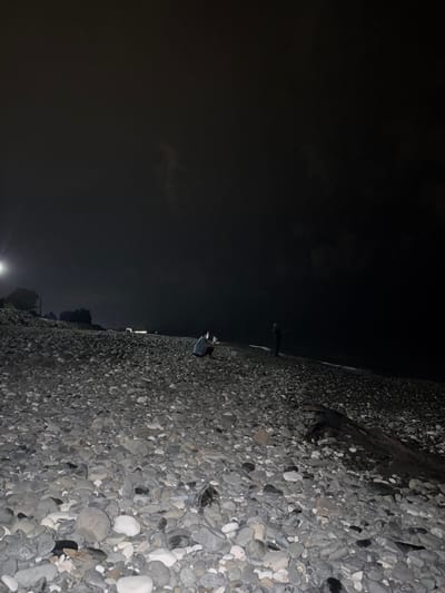 The image depicts a rocky beach at night in Gumsta, Abkhazia. The sky is dark and cloudy, with a bright light source visible on the left side, possibly a streetlamp. Two individuals are present on the beach. One person, wearing a dark jacket and light-colored pants, is sitting on the rocks, looking at a mobile phone. Another individual, dressed in dark clothing, stands further down the beach, facing the water. The ground is covered with numerous smooth, grey pebbles of varying sizes. A large piece of driftwood is partially visible on the right side of the image, lying amongst the rocks. The sea is calm and appears dark due to the nighttime conditions.