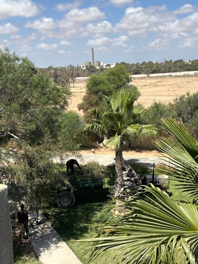 In Taguermess, Tunisia, two individuals are engaged in yard work under a partly cloudy sky. One person, dressed in dark clothing, is bent over a trailer filled with branches, seemingly loading or organizing the debris. Another person, in camouflage pants and a dark top, walks away from the trailer. Nearby, a tractor with a trailer attachment is parked on the grass, and a person in a light-colored shirt and cap is seated on the tractor. Palm trees and other foliage are visible throughout the scene, with a sandy, open area and some distant buildings, including a tall industrial chimney, in the background. The ground is a mix of grass and concrete pathways.