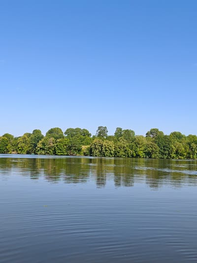 This media file depicts a serene natural scene of a wide river flowing past a densely wooded shoreline under a clear blue sky. The sun is high, suggesting it is midday. The water's surface is calm, with gentle ripples creating a reflective mirror for the lush green trees that form a continuous line along the embankment. The foliage is a vibrant mix of various shades of green, indicating healthy, mature trees. The reflection on the water is slightly distorted by the ripples, but the shapes of the trees are clearly discernible. A few small patches of aquatic plants are visible on the water's surface. The overall atmosphere is peaceful and tranquil, evoking a sense of natural beauty and calm. There is no visible text within the image. The context provided places this scene in Horodyshche, Ukraine, a location known for its natural landscapes.