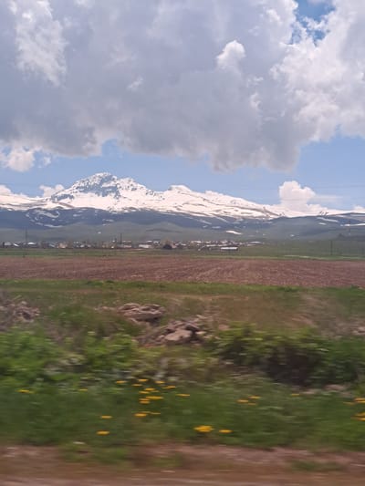A wide-angle landscape photograph, captured from a moving vehicle, depicts a rural scene in Geghadzor, Armenia. The upper portion of the frame is dominated by a dynamic sky featuring large, well-defined cumulus clouds in various shades of white and grey, interspersed with patches of clear blue sky.
The prominent background feature is a massive snow-capped mountain range, likely Mount Aragats, with its rugged peaks and upper slopes covered in pristine white snow. Below the snowline, darker rock formations and sparse vegetation are visible.
In the mid-ground, at the base of the mountain, a small village or settlement is discernible. It comprises numerous buildings with varying roof colors, suggesting a mix of residential and perhaps agricultural structures. Extending from the village towards the viewer are large, extensively tilled fields, characterized by their reddish-brown soil, indicating recent plowing or cultivation. Interspersed among these fields are areas of vibrant green vegetation. Power lines or similar utility cables stretch horizontally across the mid-ground, passing over the village and fields, supported by visible poles.
The immediate foreground exhibits significant motion blur, confirming the photograph was taken from a vehicle in motion. This blurred area consists of a band of rich green grass and low-lying vegetation. Scattered within this green expanse, particularly on the right side, are small clusters of bright yellow wildflowers. A strip of reddish-brown earth or dirt road is visible at the very bottom edge of the frame. The overall lighting suggests a bright, daytime scene under partial cloud cover. No people or animals are explicitly visible.
