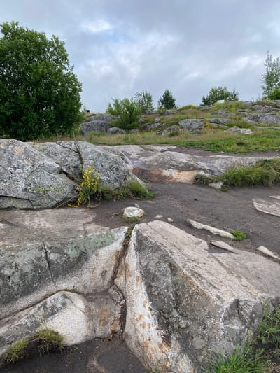 A cloudy, overcast day is captured in this outdoor scene, depicting a rocky, elevated terrain. Large, gray boulders, some with patches of green moss and lichen, dominate the foreground and midground. A path, made of dark soil and occasional stones, winds through the rocky landscape. Sparse green grass and small yellow wildflowers grow in patches among the rocks and on the edges of the path. In the background, a dense green tree stands to the left, while a low line of bushes and trees stretches across the horizon. The sky is filled with soft, gray clouds. The scene appears to be a natural area, possibly a park or nature reserve, in Lakhdenkiulya, Russia, characterized by its rugged, rocky topography. There are no people or animals visible in the image.