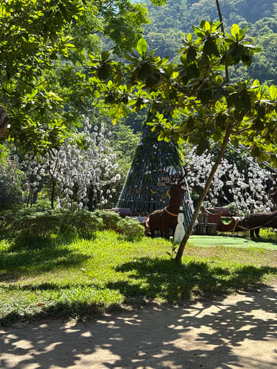 This image depicts a festive outdoor scene in Hoa Thang Ward, Vietnam, likely a holiday display. In the background, a large, decorated Christmas tree is visible, surrounded by white, fluffy decorations resembling cotton or snow. To the left of the tree, a smaller tree or bush is adorned with similar white material. In the foreground, a rustic wooden sleigh sits on artificial turf, pulled by two decorative horse figures made of a dark, textured material. In front of the sleigh, a reindeer figure with antlers stands next to a white snowman decoration. The ground in the foreground is a dirt path with dappled shade from overhead foliage, and a lush green lawn surrounds the display. The background shows a dense forest on a hillside, bathed in sunlight. The overall impression is a cheerful, holiday-themed setup integrated into a natural, tropical environment.