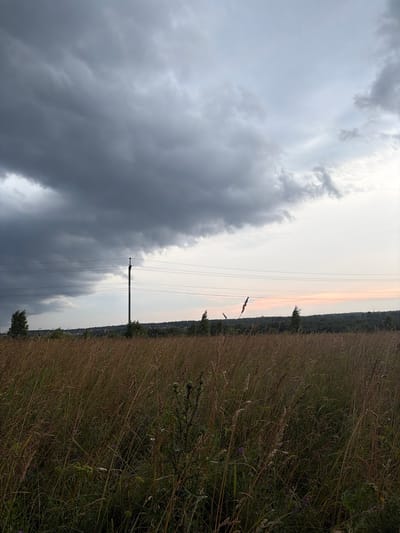 This image captures a rural landscape in the vicinity of Мартемьяново, Russia. The foreground is dominated by a field of tall, dry grass, indicative of late summer or early autumn. The grass is varied in color, ranging from golden brown to darker shades of green, with some taller stalks and seed heads visible. Interspersed within the grass are a few plants with visible thistles and small purple flowers.
In the mid-ground, a solitary wooden utility pole stands prominently, supporting multiple power lines that stretch horizontally across the frame. To the left of the pole, a single, wind-swept tree is visible. Beyond the field and the utility pole, a dense line of dark green coniferous trees forms the horizon. In the distance, faint outlines of buildings suggest the presence of a settlement or village.
The sky occupies the upper half of the image and is characterized by dramatic cloud formations. On the left side, heavy, dark gray storm clouds are gathering, casting a somber mood over that portion of the sky. To the right, the sky transitions to a lighter, more diffused gray, with a faint hint of pink or orange near the horizon, suggesting either sunrise or sunset. The overall lighting is subdued, consistent with overcast weather or the approach of a storm.