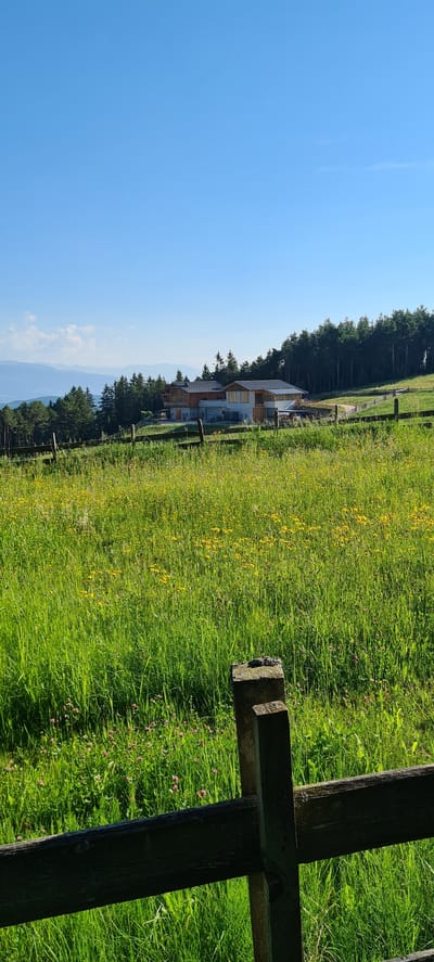 The image depicts a rural landscape with a modern building complex situated on a hillside. In the foreground, a rustic wooden fence runs horizontally across the frame, partially obscuring a vibrant green meadow filled with tall grass and scattered yellow wildflowers. In the mid-ground, behind the fence and meadow, lies a cluster of buildings with contemporary architectural features, including wooden accents and large windows. These buildings are nestled on a gentle slope, surrounded by a dense forest of evergreen trees. Beyond the forest, distant mountains are visible under a clear blue sky. The overall scene suggests a serene, natural setting with a focus on a modern dwelling integrated into the landscape.