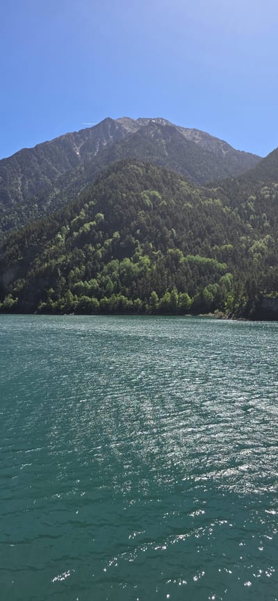 The image shows a vast expanse of turquoise water in the foreground, with small ripples creating a shimmering effect on the surface due to sunlight. Behind the water, a dense forest covers the lower slopes of a large mountain. The trees are predominantly dark green, with patches of lighter green indicating deciduous trees or areas of new growth. The mountain summit is rocky and appears to have some patches of snow. The sky above is a clear, bright blue. The scene suggests a natural landscape, likely a lake or reservoir nestled at the base of a mountain. There are no people or man-made structures visible in the image. This is a depiction of the Estany de Llosas, a high-mountain lake located within the Posets-Maladeta Natural Park in the municipality of Benasque, within the province of Huesca, in the autonomous community of Aragon, Spain.