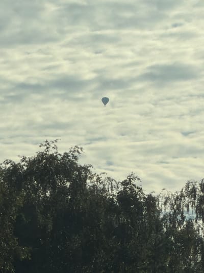 A hot air balloon is seen floating in a cloudy sky above a canopy of dark green trees. The balloon is a dark silhouette against the overcast sky. The trees are dense and appear to be in full foliage. The overall scene suggests a natural outdoor environment with a solitary balloon in the distance.