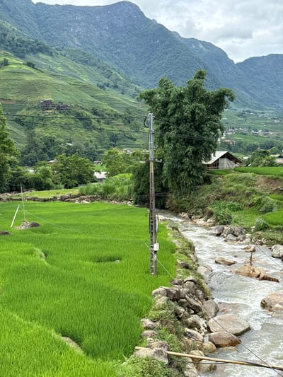 A mountain landscape in Tả Van, Vietnam, features lush green rice paddies and a flowing stream. In the foreground, a vibrant green rice field occupies the left side of the image, with a narrow, rocky stream running along the right. The stream's banks are lined with stones and vegetation. A utility pole stands near the stream, with wires stretching across the frame.
In the mid-ground, more rice terraces ascend the hillsides. A traditional wooden house with a thatched roof is nestled among the greenery. Scattered houses and structures dot the landscape further up the slopes, indicating a rural settlement.
The background is dominated by imposing, mist-shrouded mountains covered in dense vegetation. The sky is overcast, with dramatic clouds contributing to the atmospheric mood of the scene. The overall impression is one of natural beauty and agricultural life in a mountainous region.